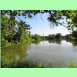 Lednick park