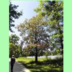 Lednick park