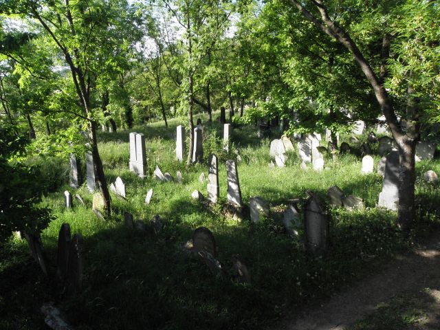 51.jpg