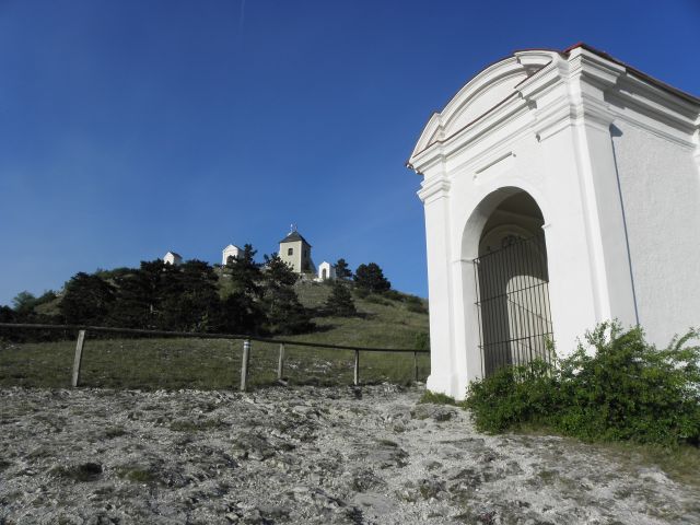 54.jpg